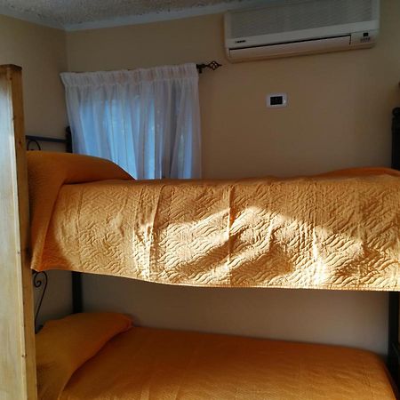 Apartament Il Cerseto Santa Domenica Talao Zewnętrze zdjęcie