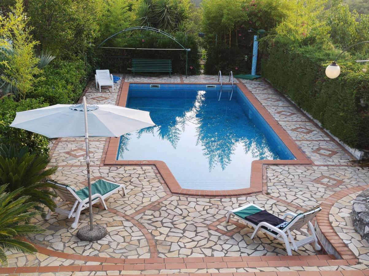 Apartament Il Cerseto Santa Domenica Talao Zewnętrze zdjęcie